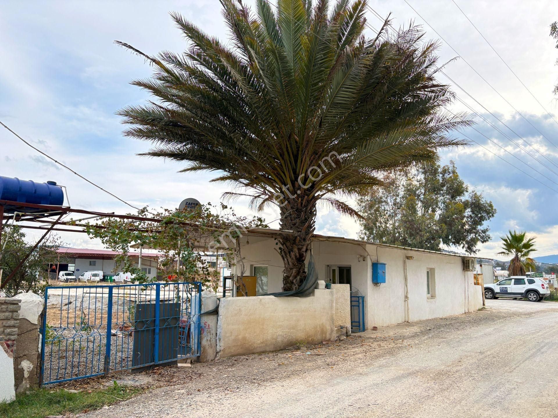 Milas Bodrum Yolu Üzeri 1562 M² Satılık Arsa - Görsel 22