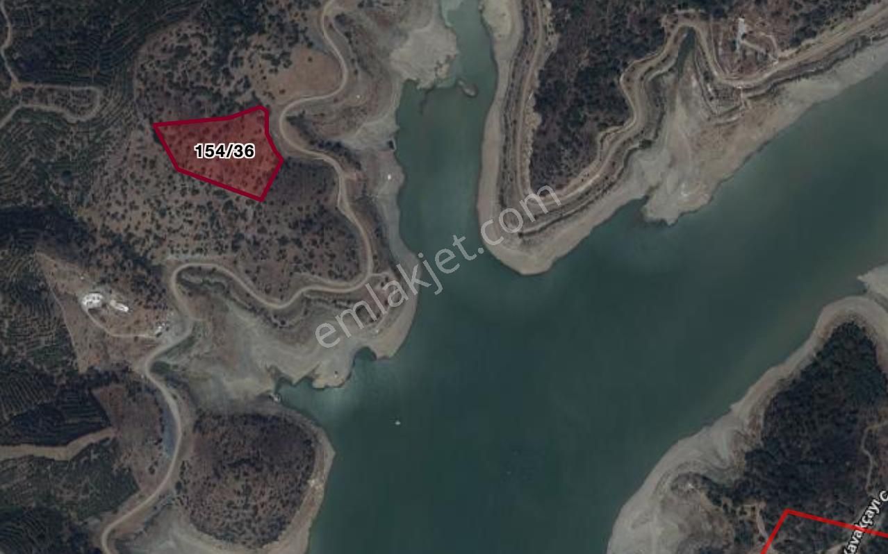 Doğanın Kalbinde, Göl Manzarasına Uyanacağınız 12 Dönüm Zeytinlik - Görsel 8