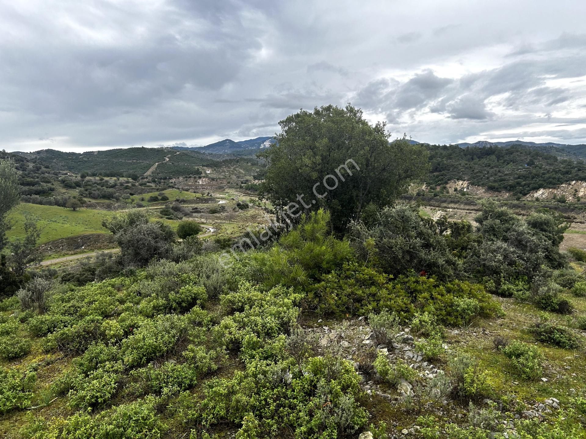 Doğanın Kalbinde, Göl Manzarasına Uyanacağınız 12 Dönüm Zeytinlik - Görsel 24