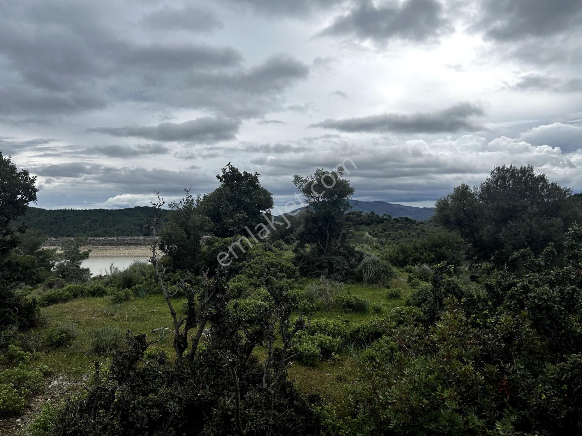 Doğanın Kalbinde, Göl Manzarasına Uyanacağınız 12 Dönüm Zeytinlik - Görsel 21