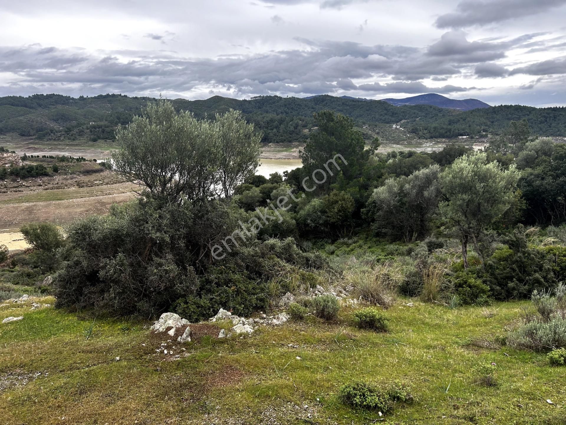 Doğanın Kalbinde, Göl Manzarasına Uyanacağınız 12 Dönüm Zeytinlik - Görsel 28