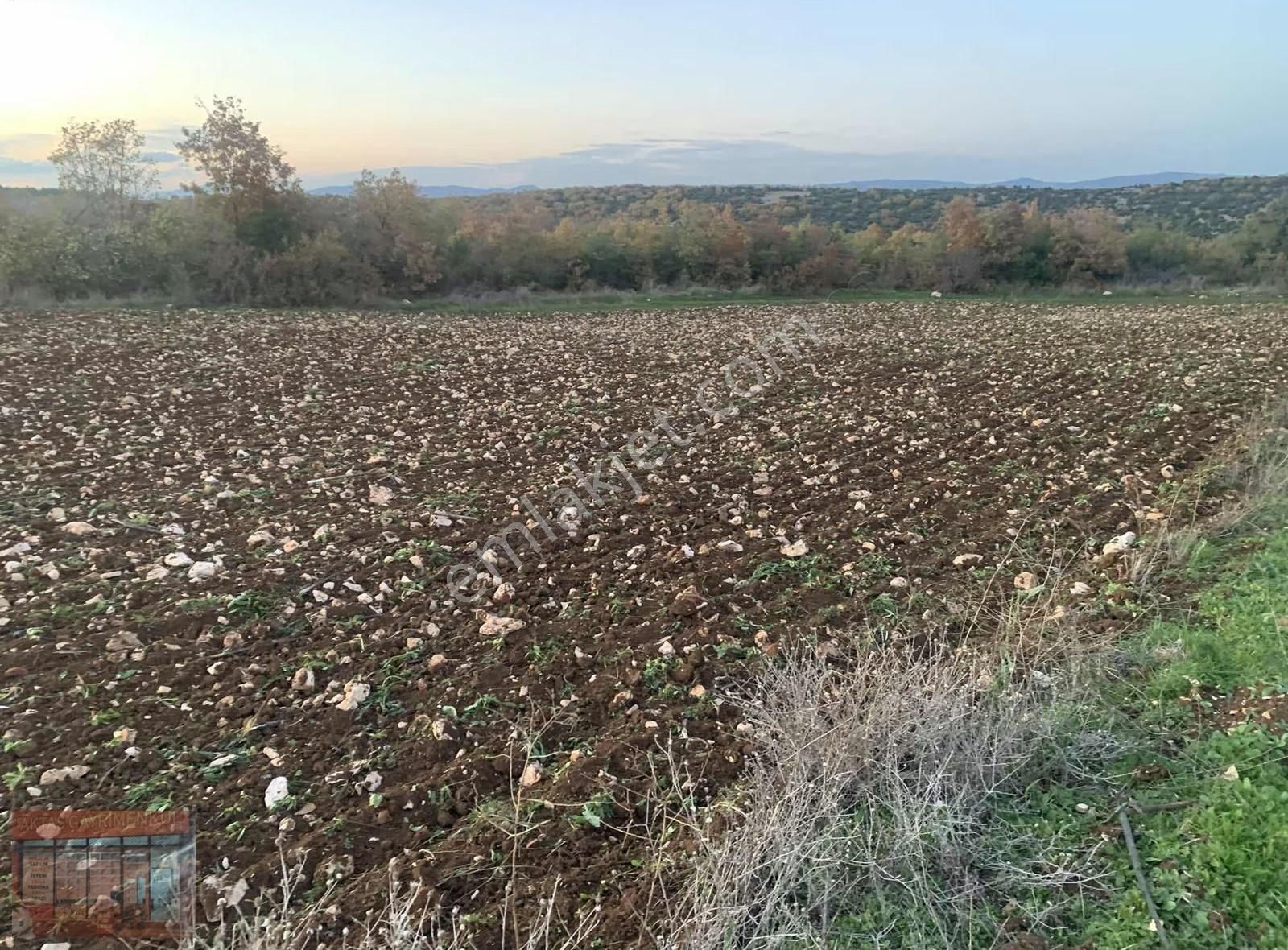 Bursa Yenişehir Karaamca 4763 M2 Satılık Tarla - Görsel 16