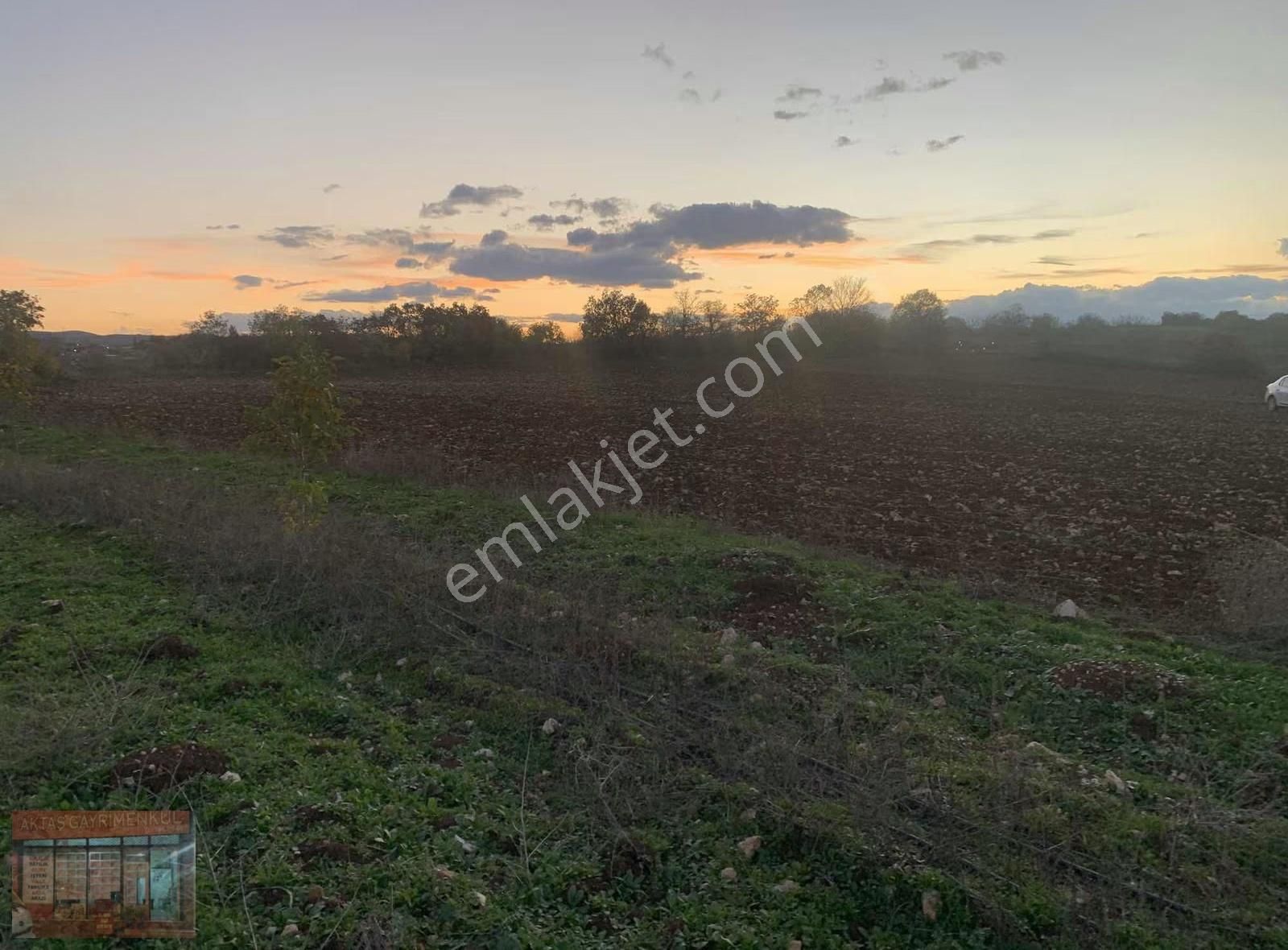 Bursa Yenişehir Karaamca 4763 M2 Satılık Tarla - Görsel 6