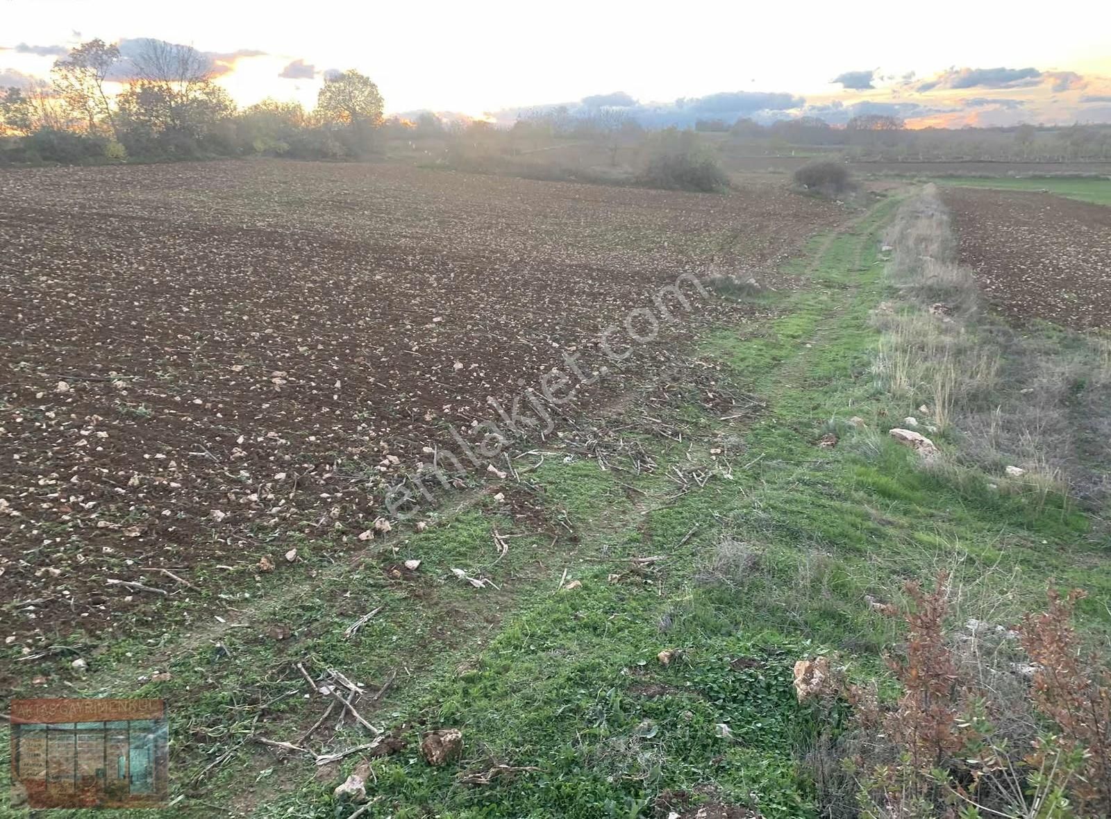 Bursa Yenişehir Karaamca 4763 M2 Satılık Tarla - Görsel 2