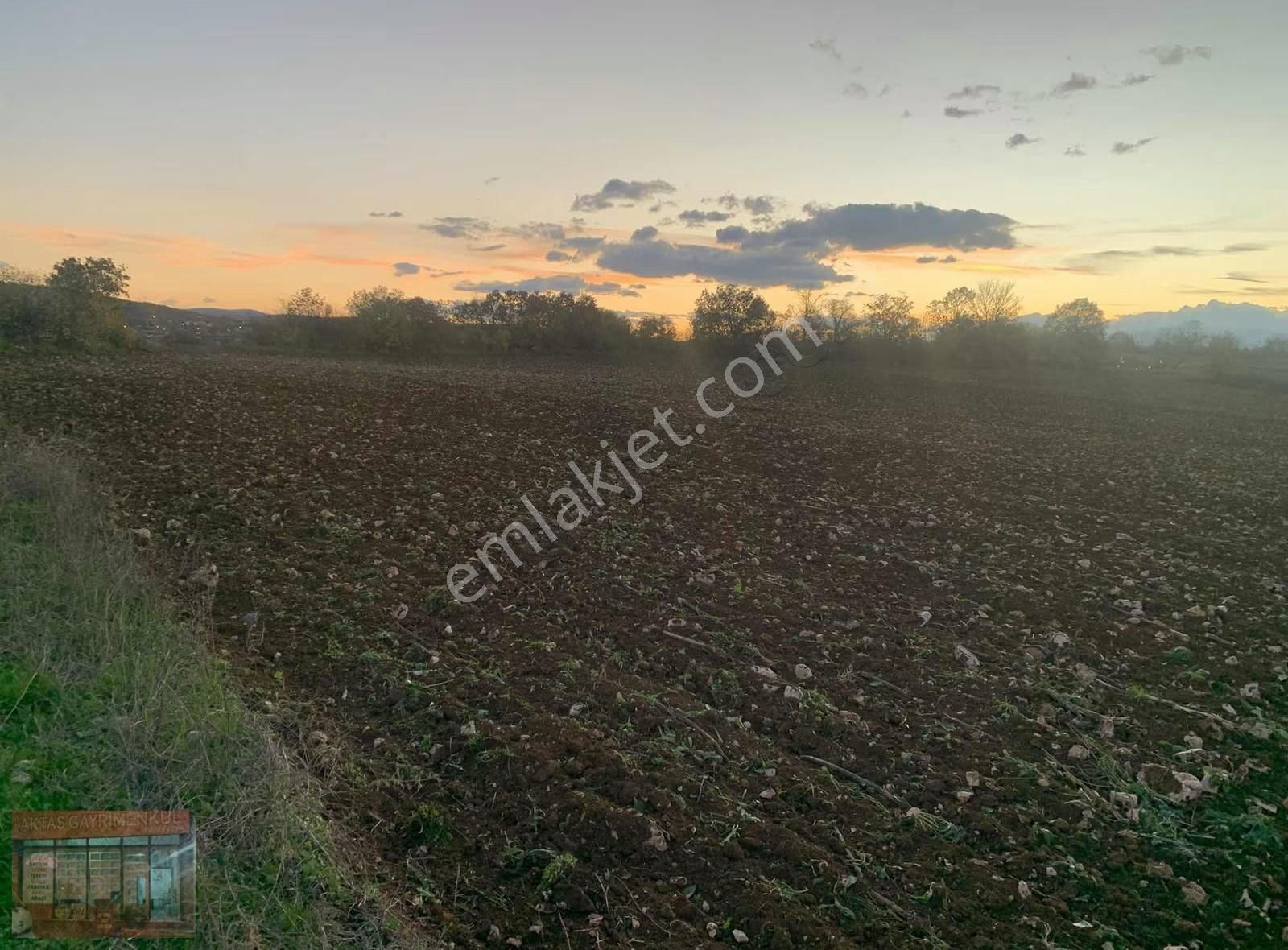 Bursa Yenişehir Karaamca 4763 M2 Satılık Tarla - Görsel 4