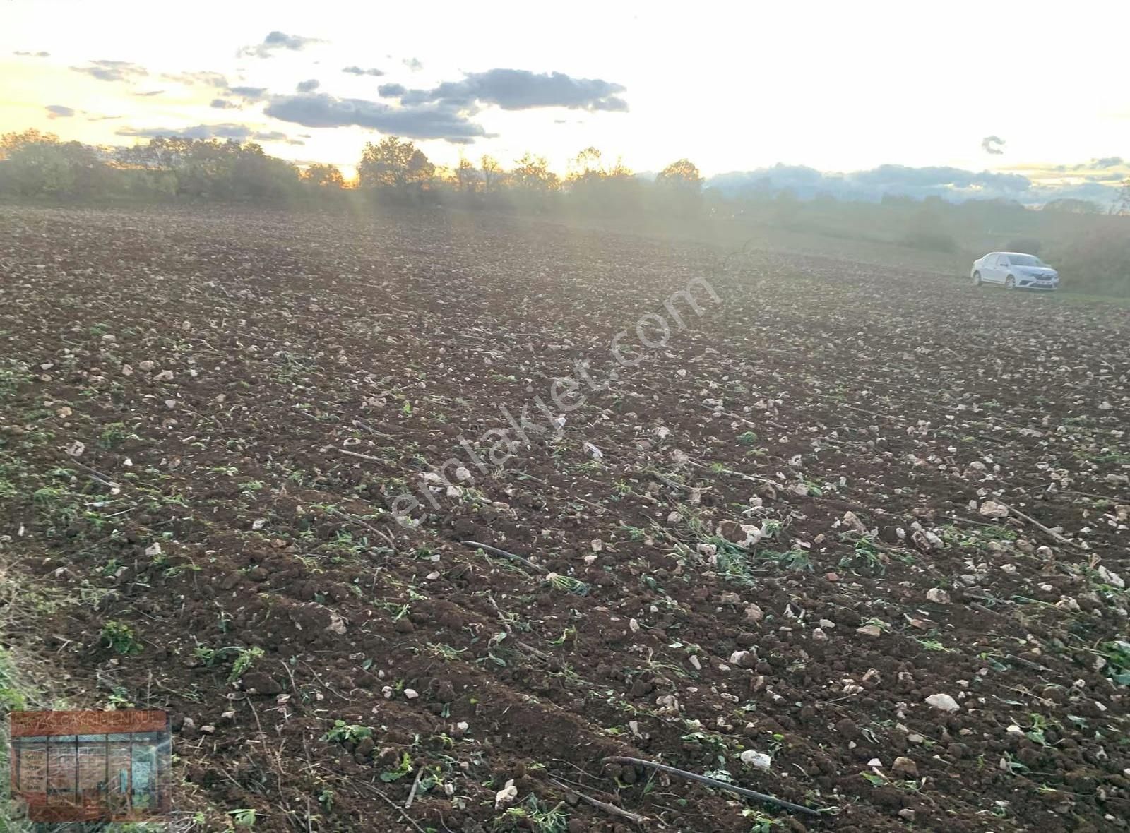 Bursa Yenişehir Karaamca 4763 M2 Satılık Tarla - Görsel 3