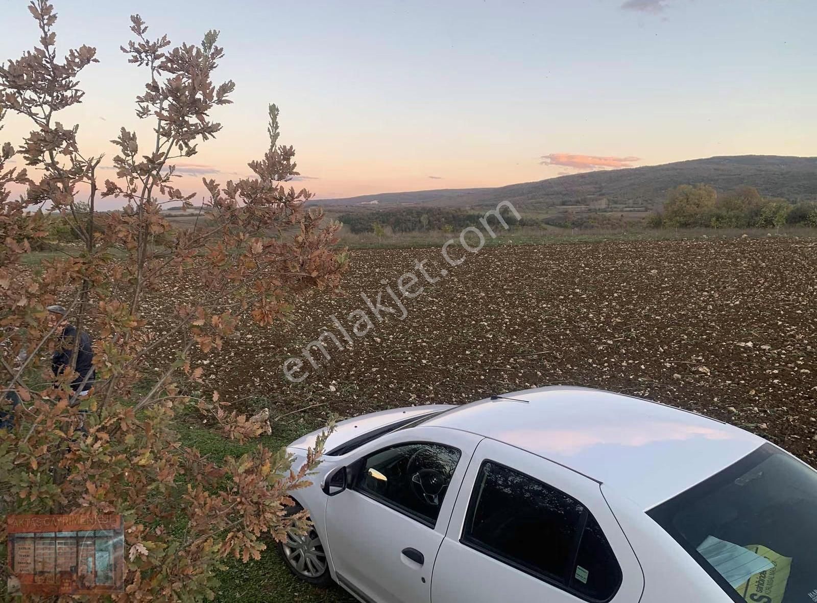 Bursa Yenişehir Karaamca 4763 M2 Satılık Tarla - Görsel 5