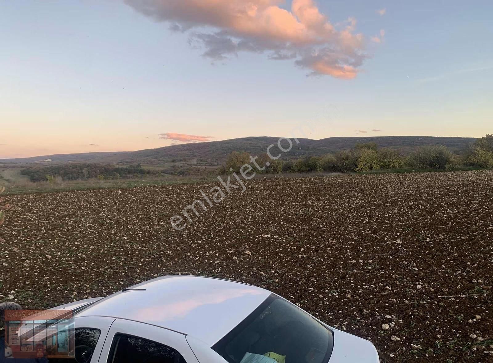 Bursa Yenişehir Karaamca 4763 M2 Satılık Tarla - Görsel 10