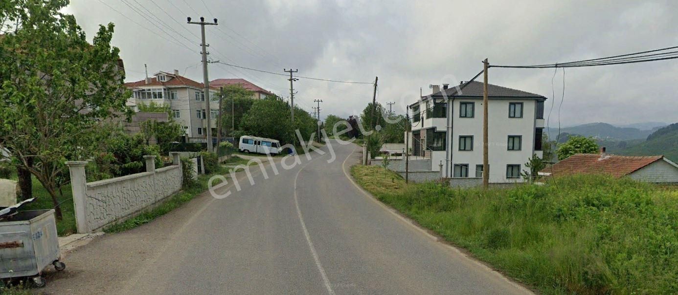 Köy Mücavir Alanı Bölgesinde Satılık Fındık Bahçesi - Görsel 16