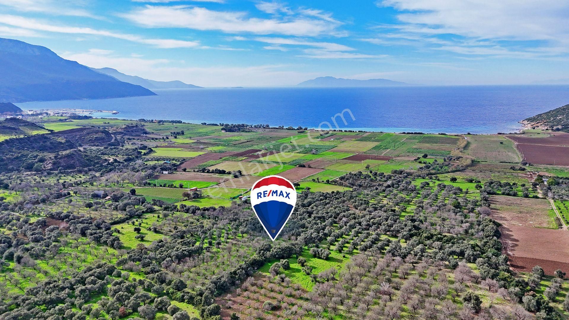 Re/max Badem'den Datça Karaköy'de Satılık 1107 M2 Tarla - Görsel 7