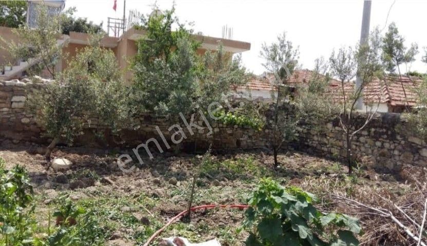 Foçada 330 M2 Arsa İçinde 2+1 Satılık İmarlı Müstakil Ev - Görsel 2