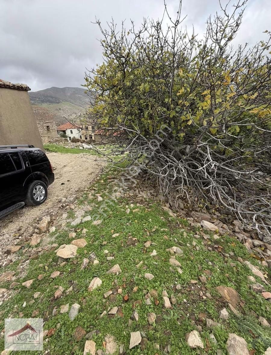 Notıas Real Estate Gayrimenkul'den Dereköy'de Taş Ev - Görsel 3