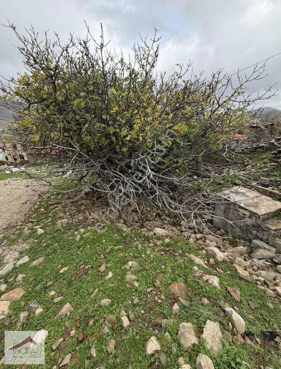 Notıas Real Estate Gayrimenkul'den Dereköy'de Taş Ev - Görsel 10