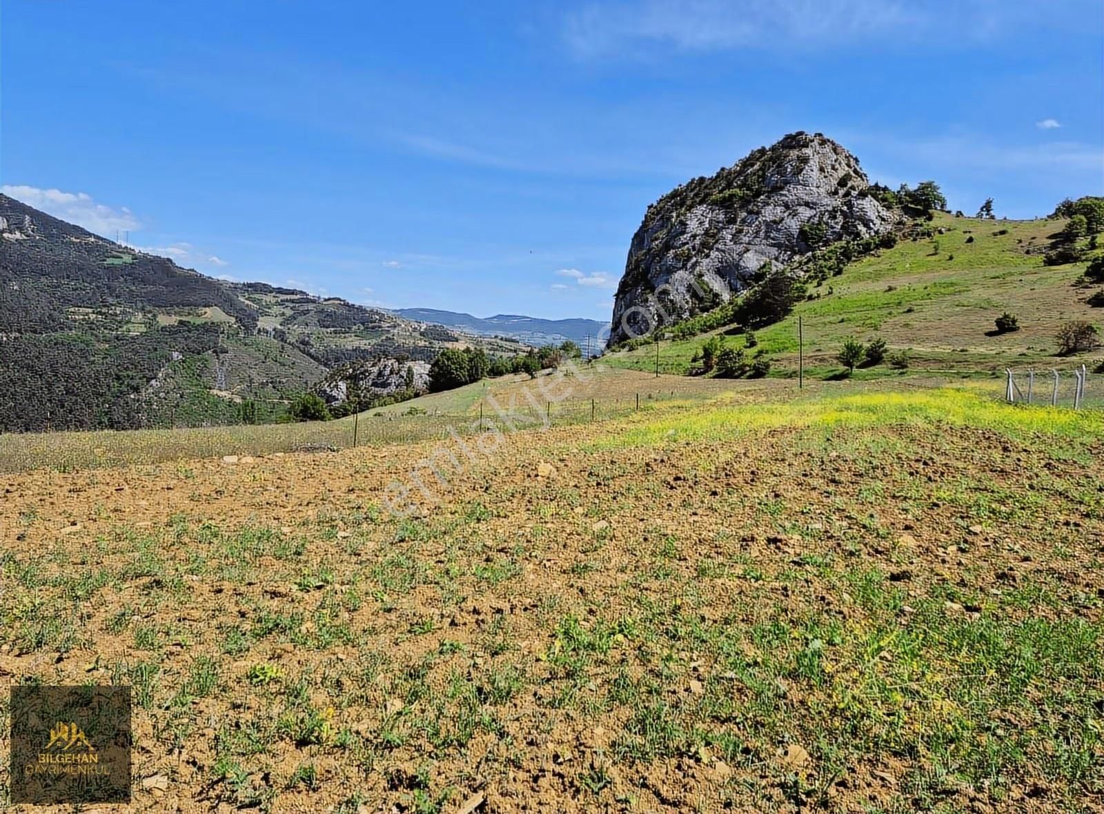 Geyve Ahibaba'da Satılık 780 M² Tarla - Görsel 16