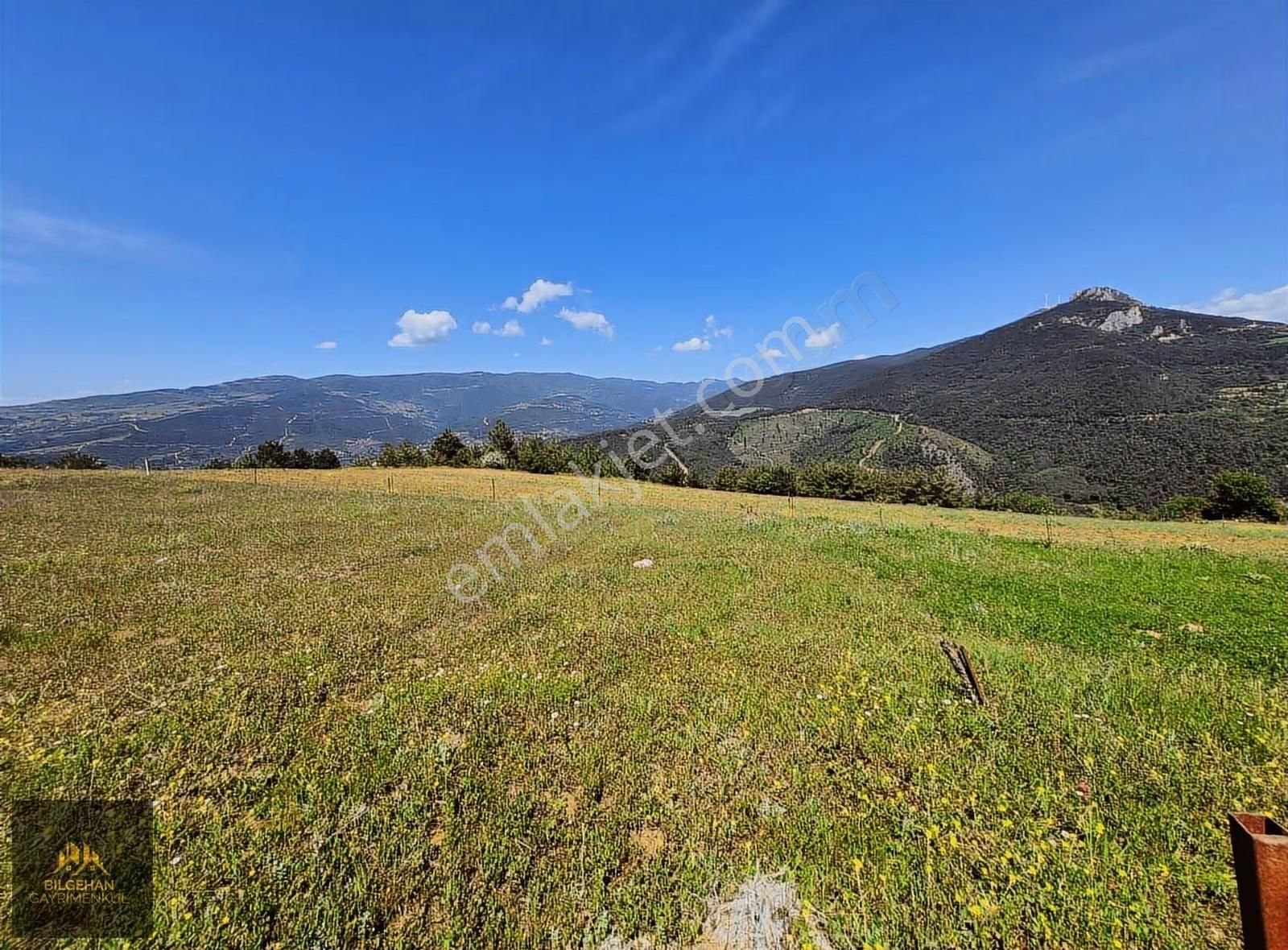 Geyve Ahibaba'da Satılık 780 M² Tarla - Görsel 4