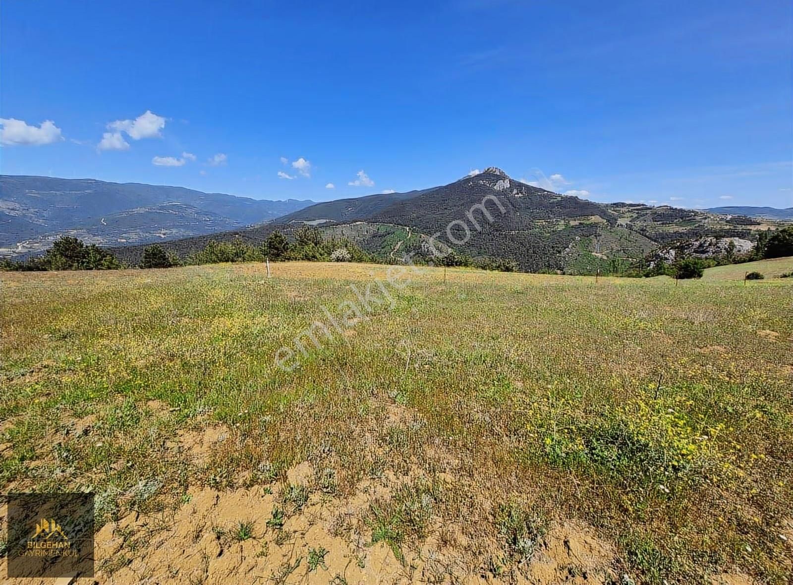 Geyve Ahibaba'da Satılık 780 M² Tarla - Görsel 17
