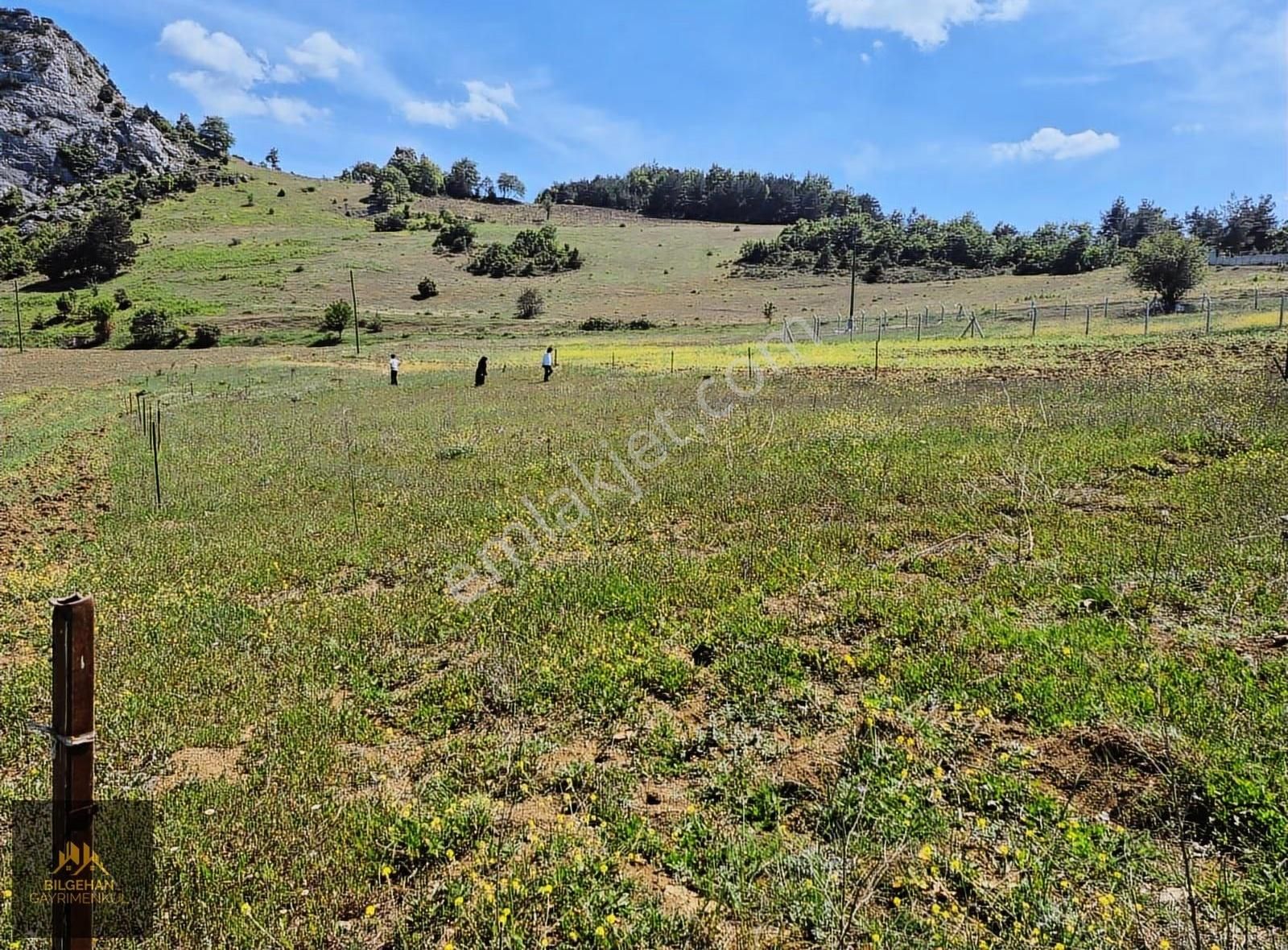 Geyve Ahibaba'da Satılık 780 M² Tarla - Görsel 24