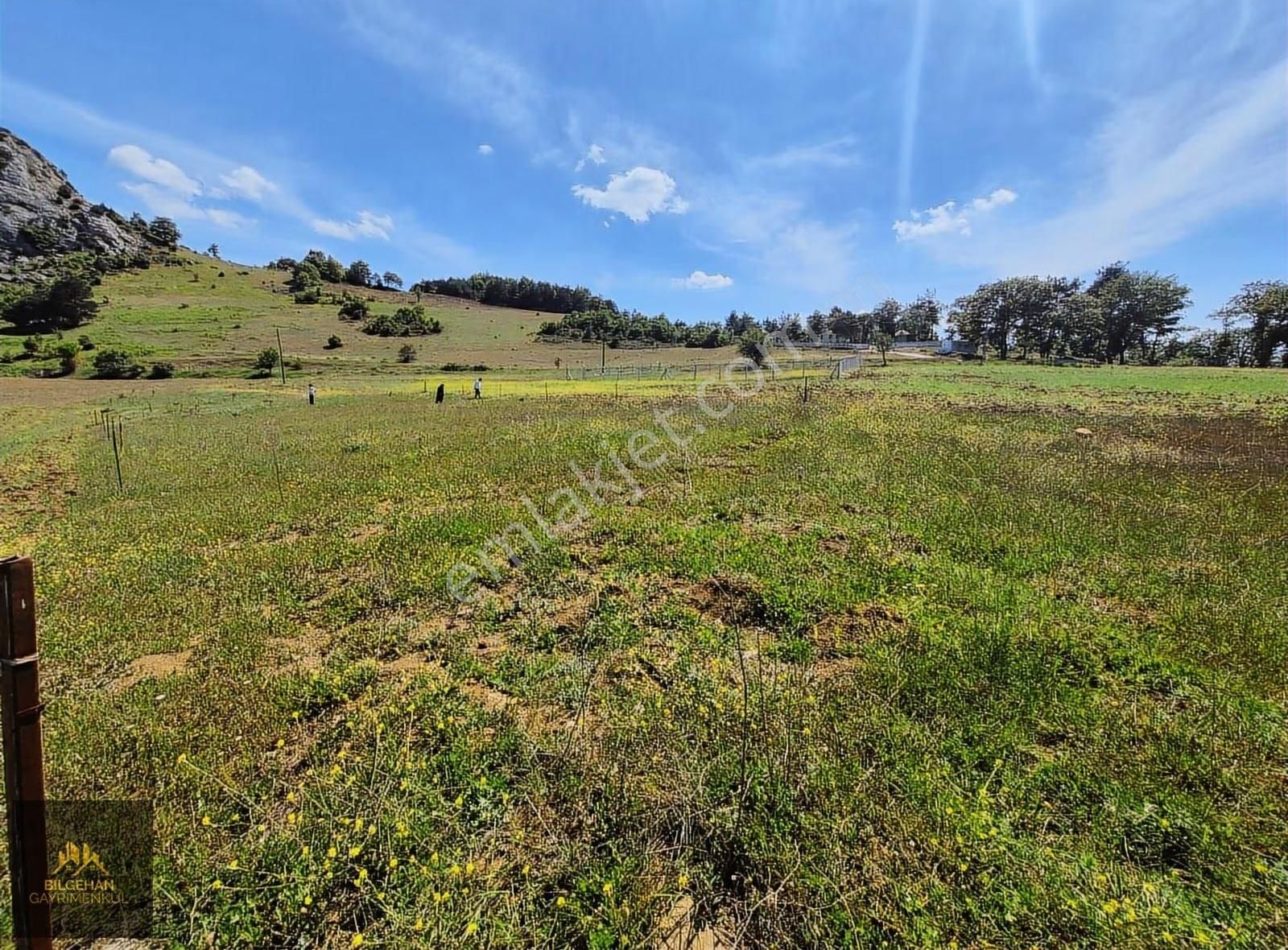 Geyve Ahibaba'da Satılık 780 M² Tarla - Görsel 20