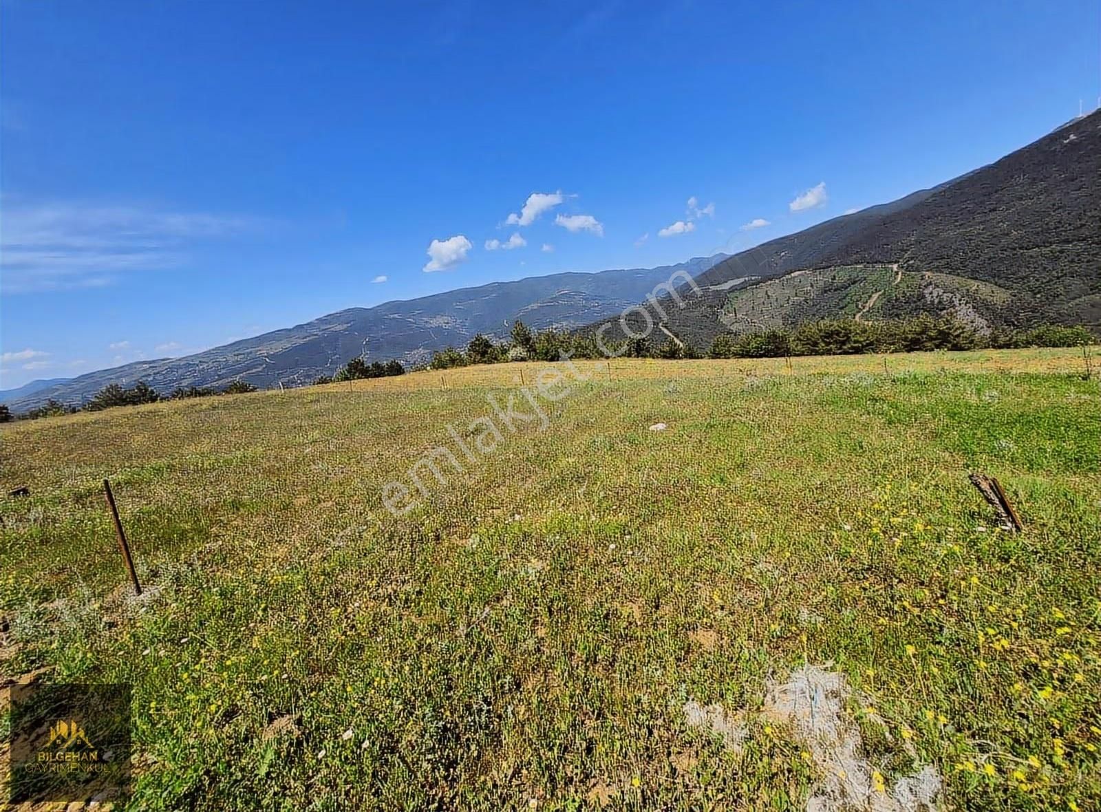 Geyve Ahibaba'da Satılık 780 M² Tarla - Görsel 22