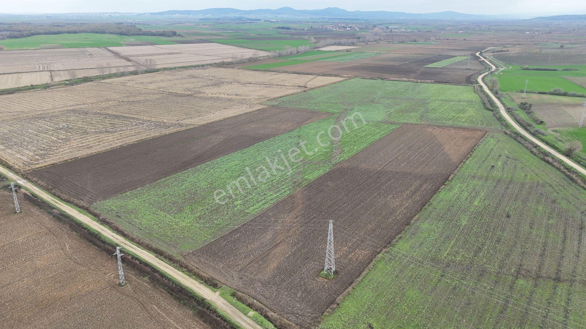 Ege Emlak'tan Karlı Köyün Merasında Satılık Fırsat Tarla - Görsel 2