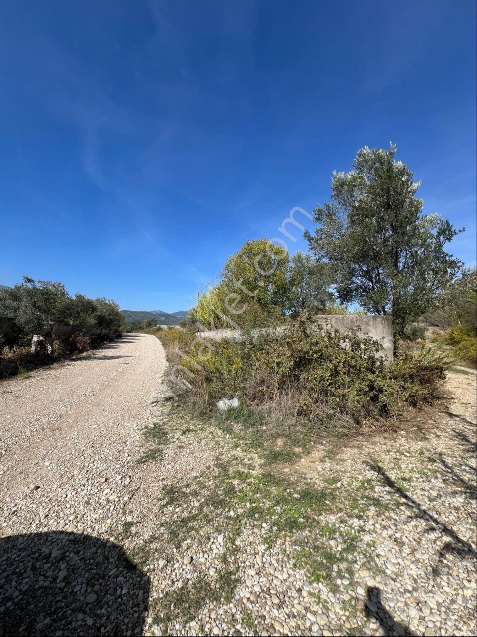 Full Yol Cephe- A101 3 Dk