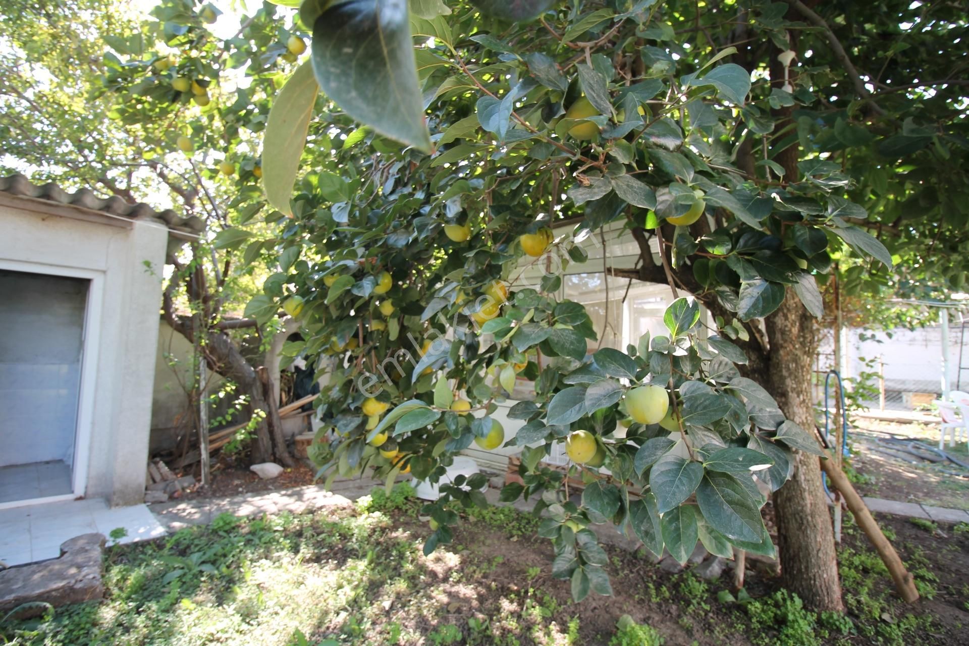 Balıkesir Kepsut Merkezde Müstakil Bahçeli Satılık Ev - Görsel 28