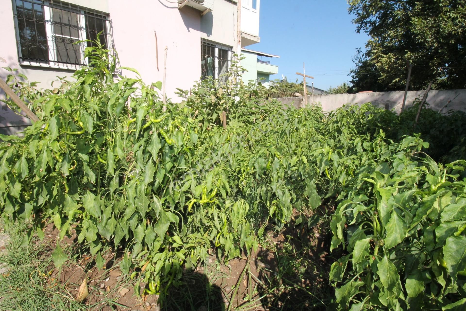 Balıkesir Kepsut Merkezde Müstakil Bahçeli Satılık Ev - Görsel 27