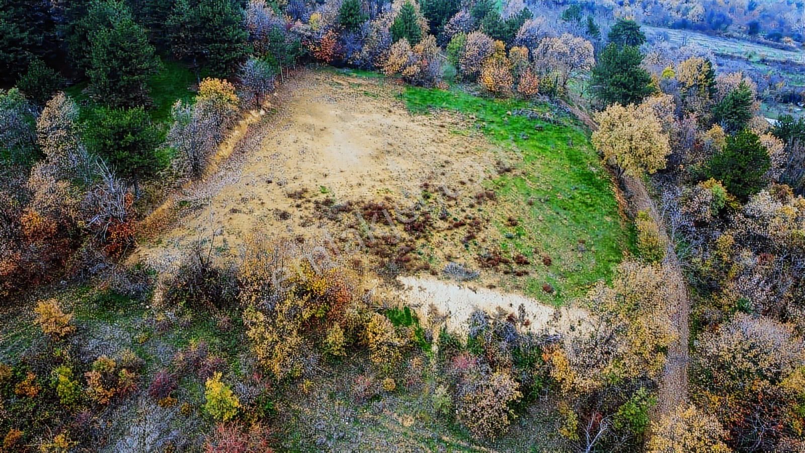 Cerrah Köyünde İmar Sınırına Sıfır Konumda 2246 M2 Tarla - Görsel 5