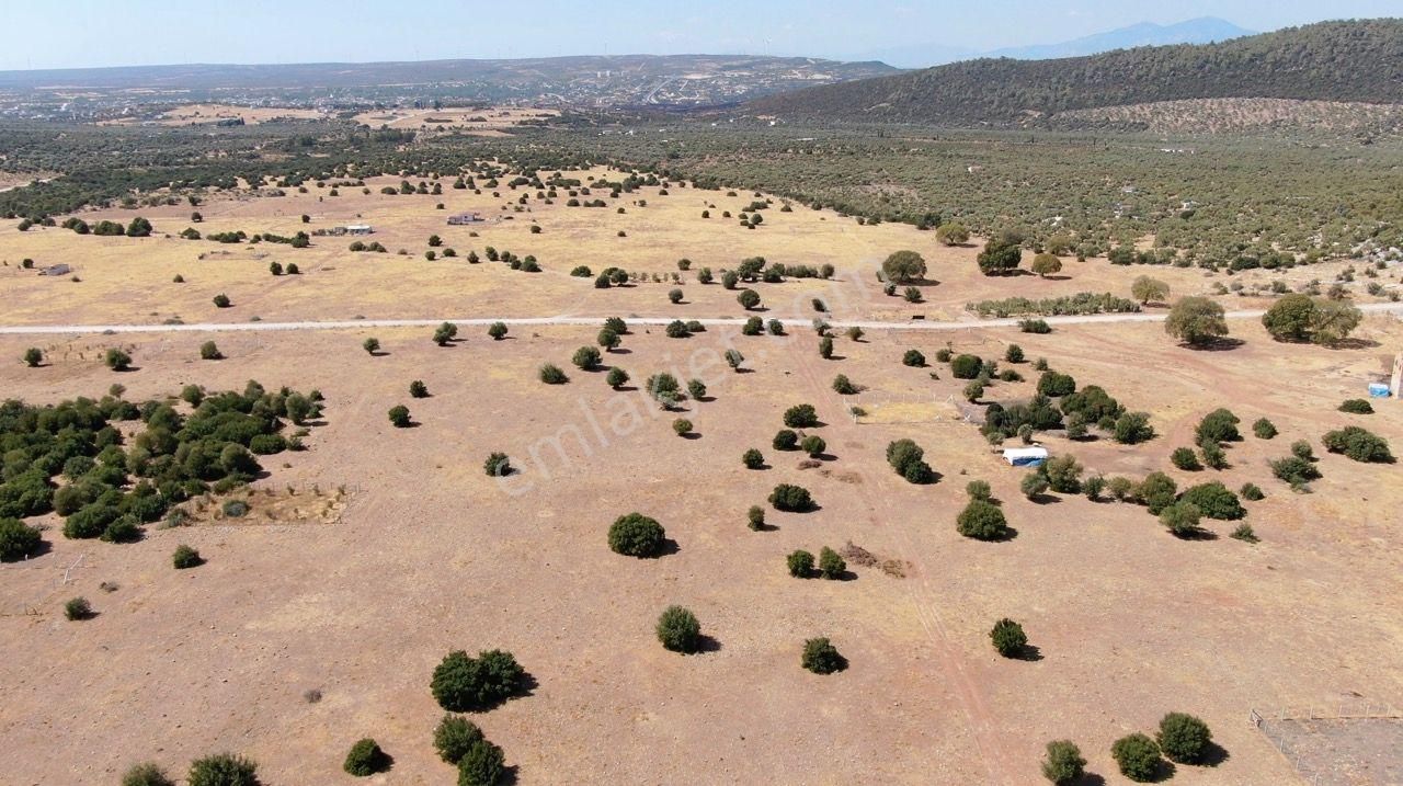 Yatırımcının Dikkatine: Didim Balova 2'de İmarlı Villa Arsası - Görsel 9