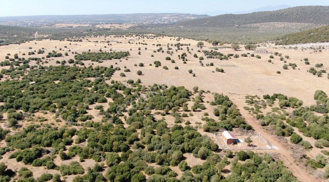 Yatırımcının Dikkatine: Didim Balova 2'de İmarlı Villa Arsası - Görsel 8