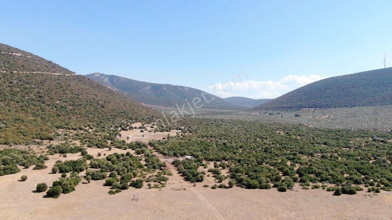 Yatırımcının Dikkatine: Didim Balova 2'de İmarlı Villa Arsası - Görsel 10