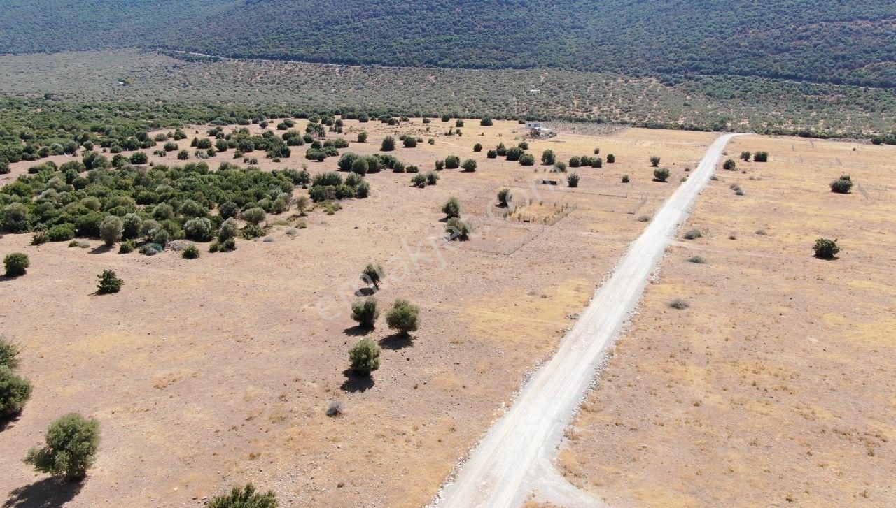 Yatırımcının Dikkatine: Didim Balova 2'de İmarlı Villa Arsası - Görsel 6