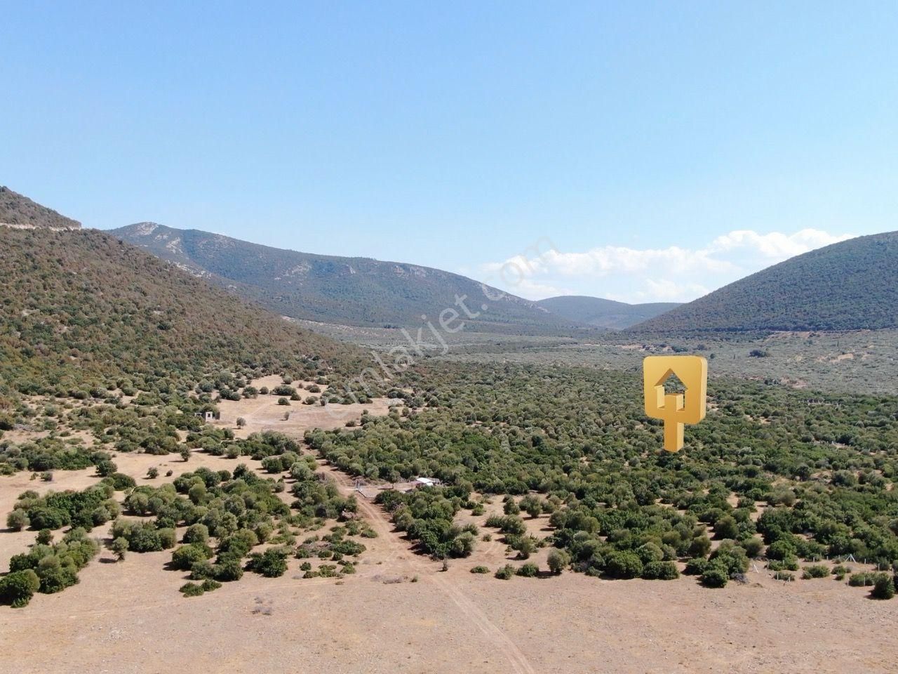 Yatırımcının Dikkatine: Didim Balova 2'de İmarlı Villa Arsası - Görsel 2