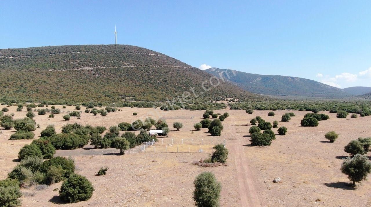 Yatırımcının Dikkatine: Didim Balova 2'de İmarlı Villa Arsası - Görsel 5