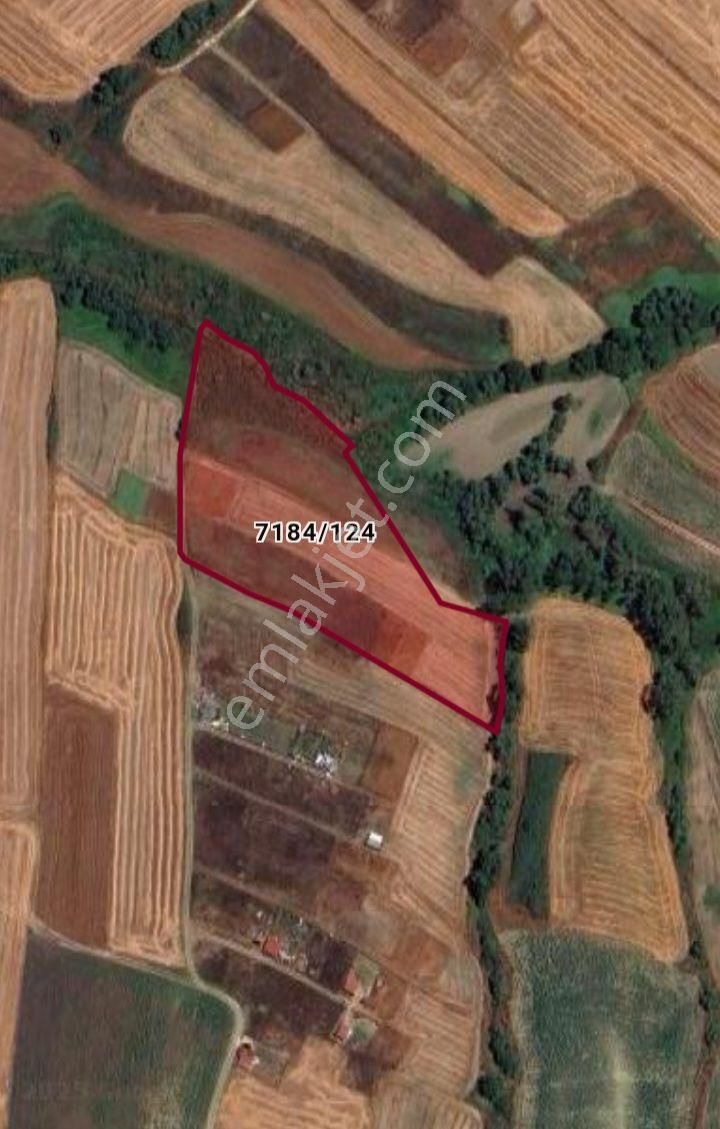 Silivri Kadıköy Karabayır Satılık Tarla - Görsel 2