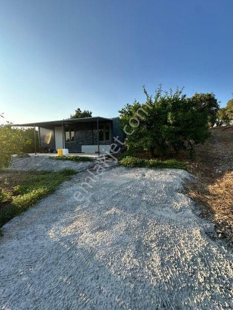 Seferihisar Payamlıda 2540 M2 Satılık Bahçe - Görsel 10