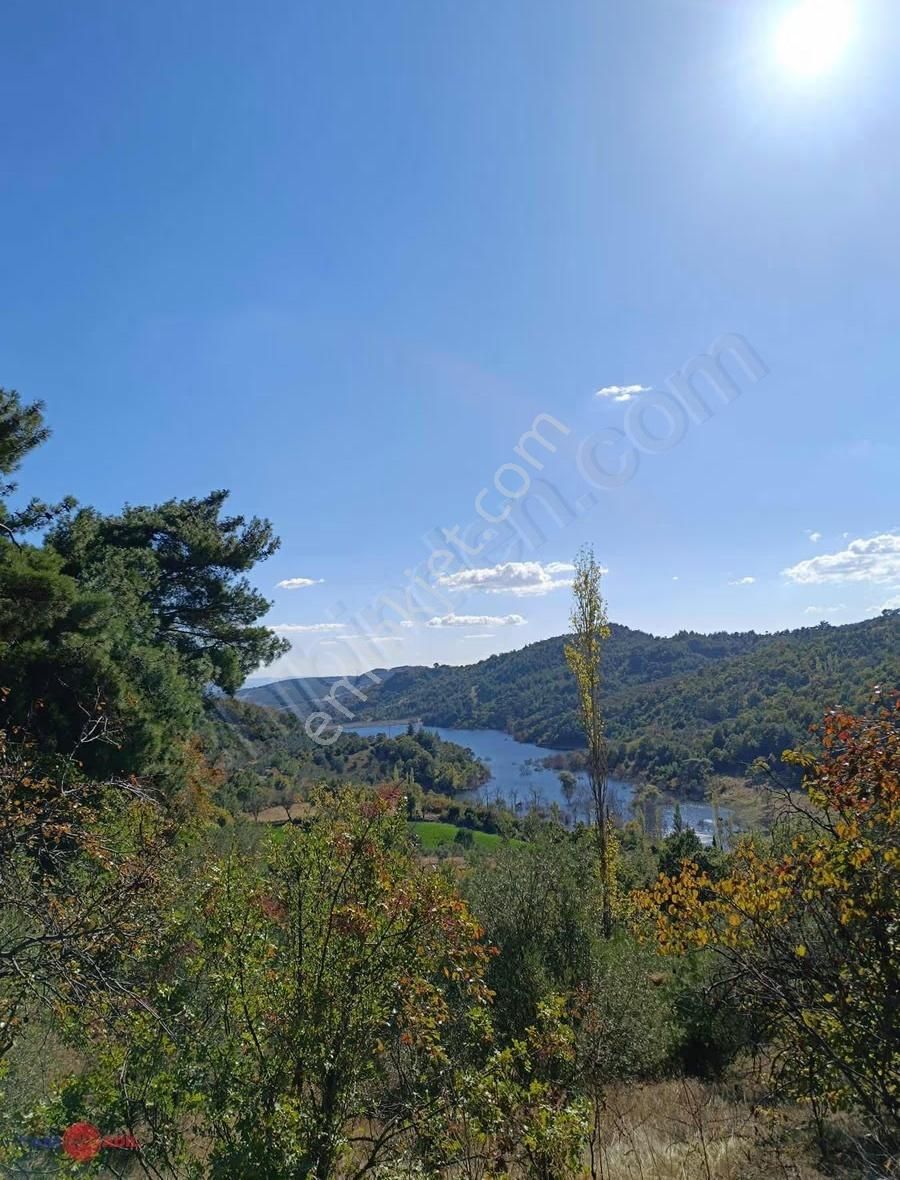 Satılık Köy Civarı Zeytinli Tarla - Görsel 2