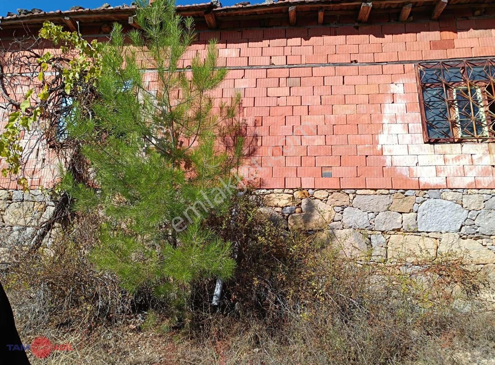 Satılık Köy Civarı Zeytinli Tarla - Görsel 5