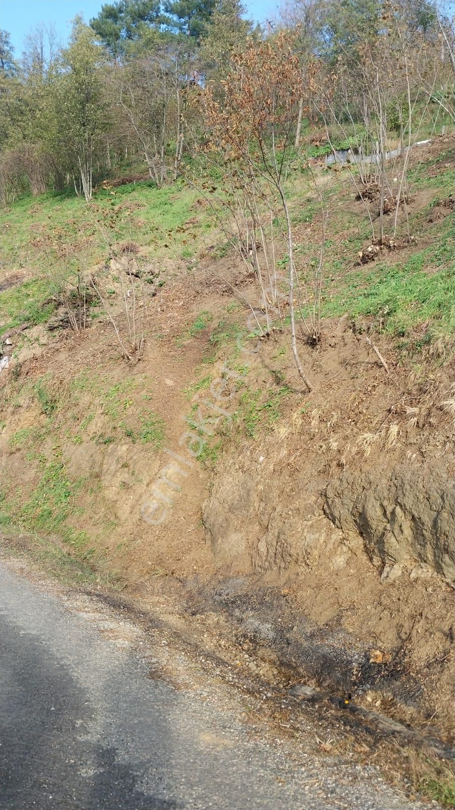 Satılık Arsa - Görsel 11