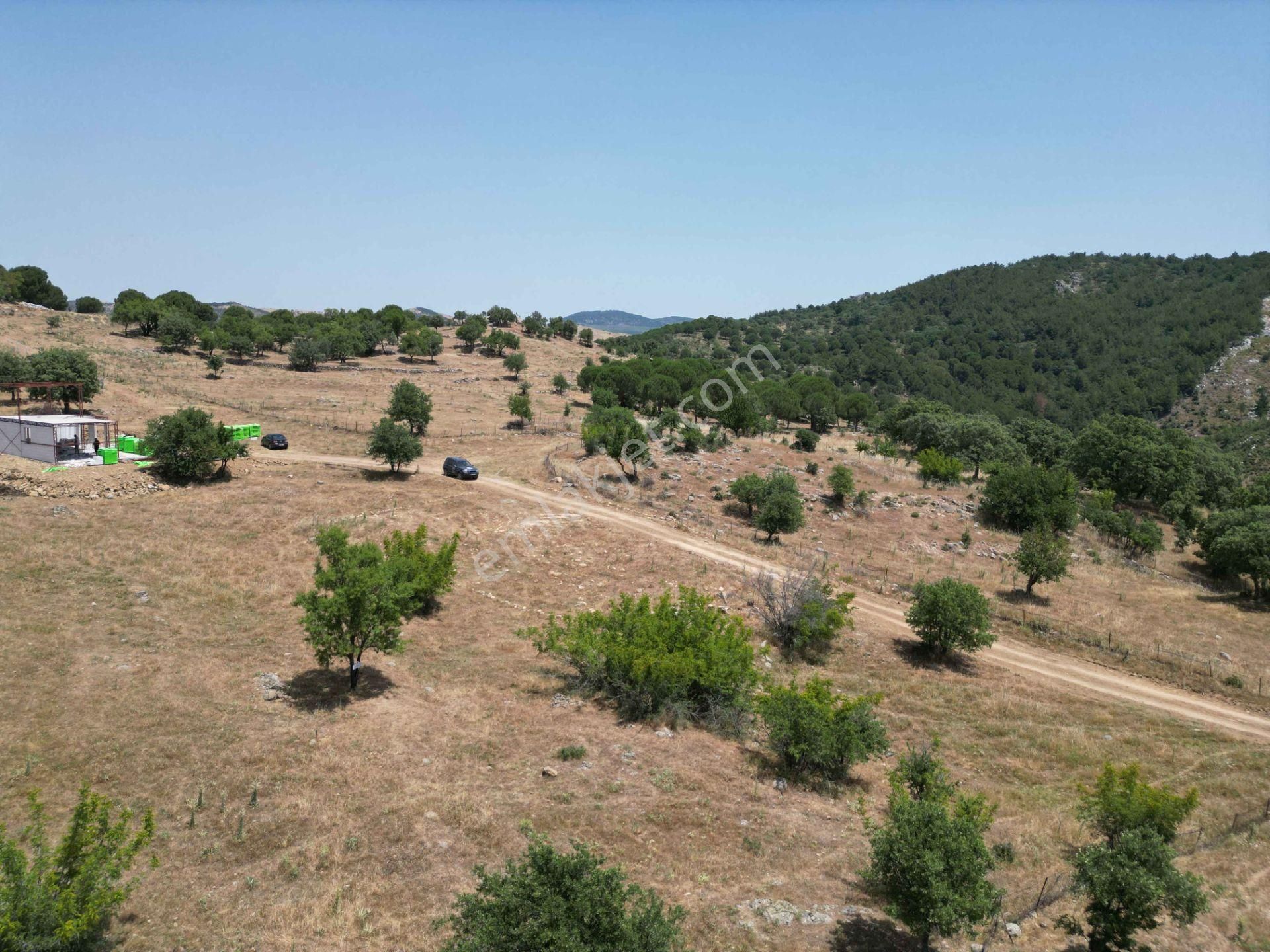 Ayvalık Hacıveliler'de Satılık 547 M² Projesi Hazır Arsa - Görsel 5