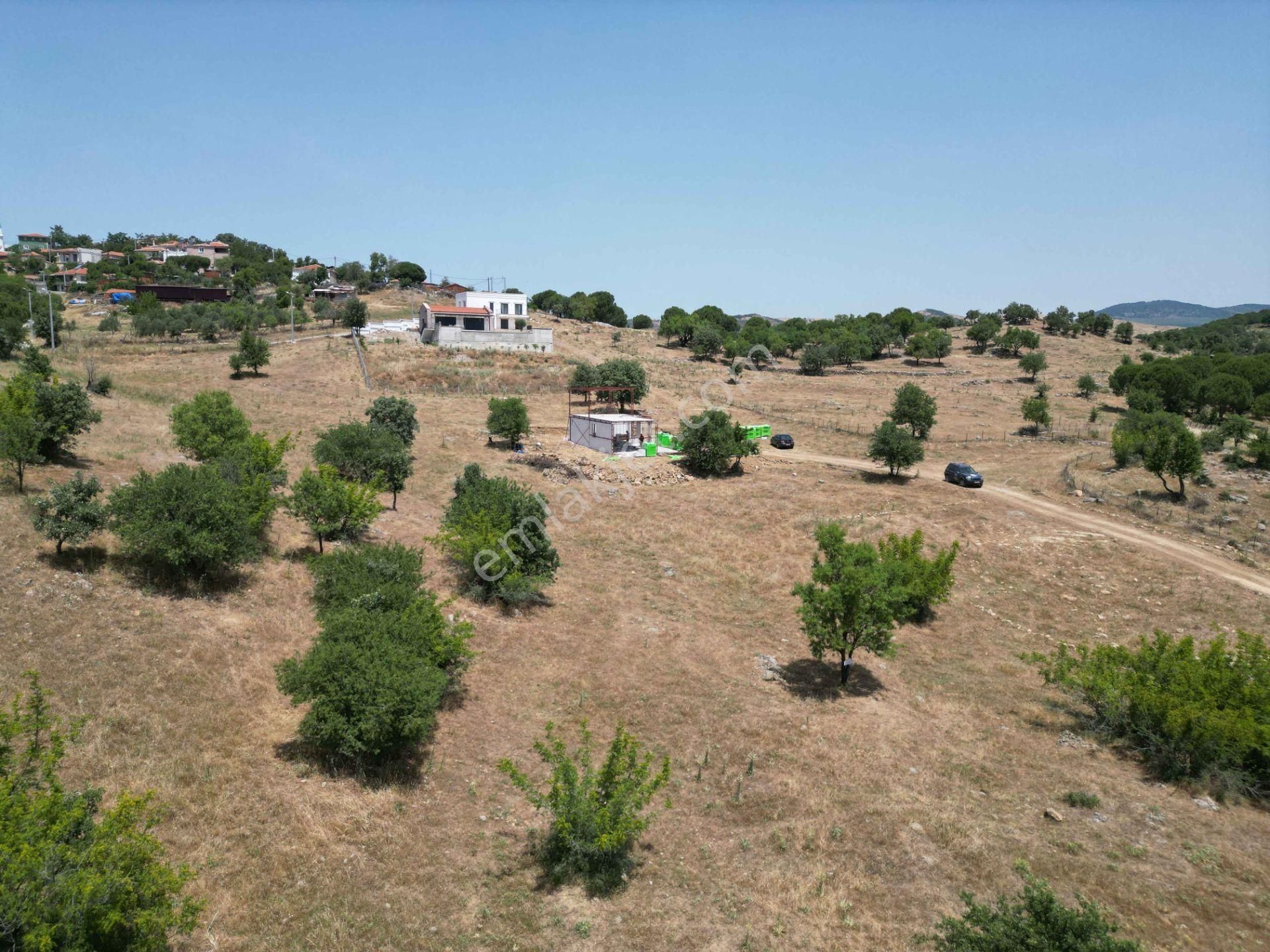 Ayvalık Hacıveliler'de Satılık 547 M² Projesi Hazır Arsa - Görsel 4