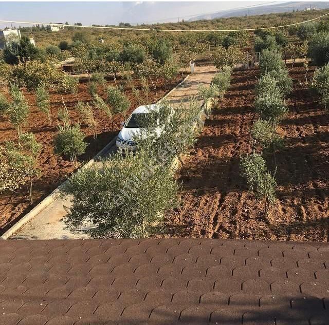 Satılık Bağ Evi - Görsel 11