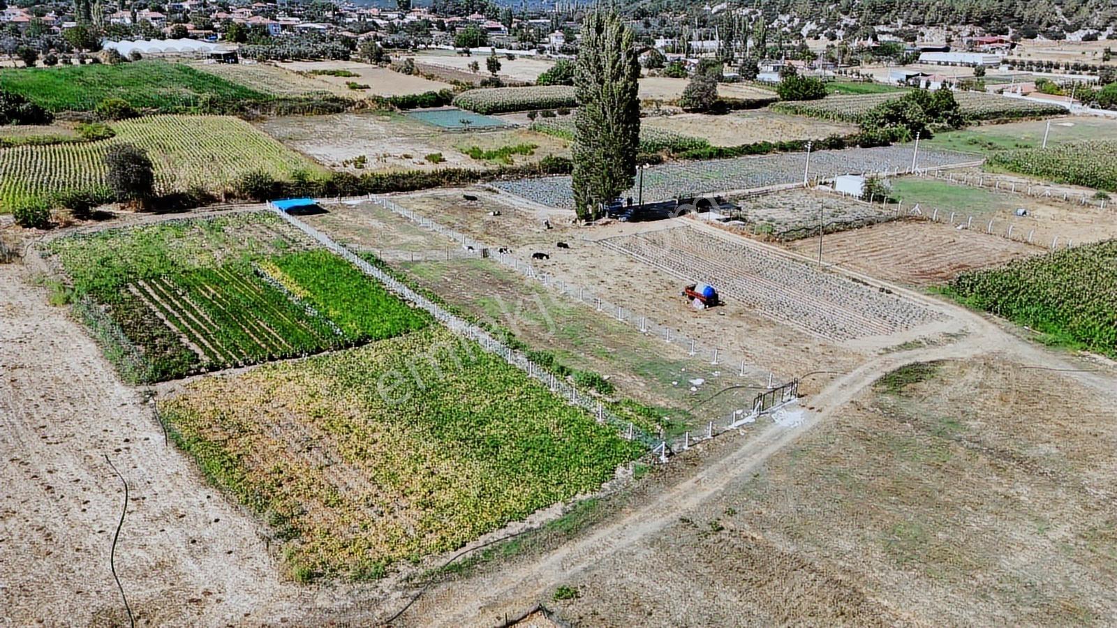 Muğla Akyakaya Yakın Muhteşem 1444m2 Arazi(fırsat) - Görsel 7