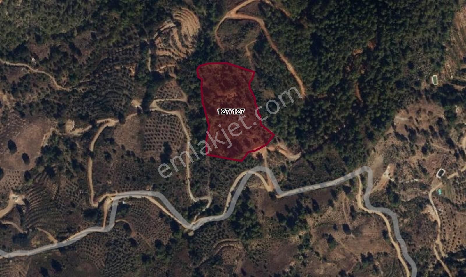 Gazipaşa, Zeytinada'da, Satılık 12.7 Dönüm Tarla - Görsel 3