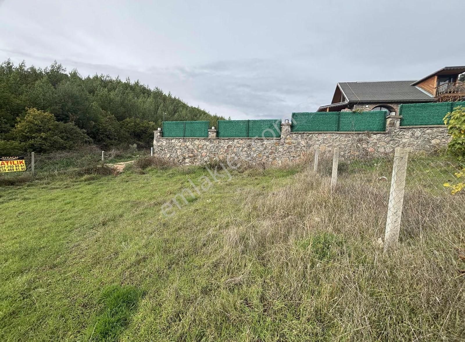 Tapulu Arsa - Görsel 4