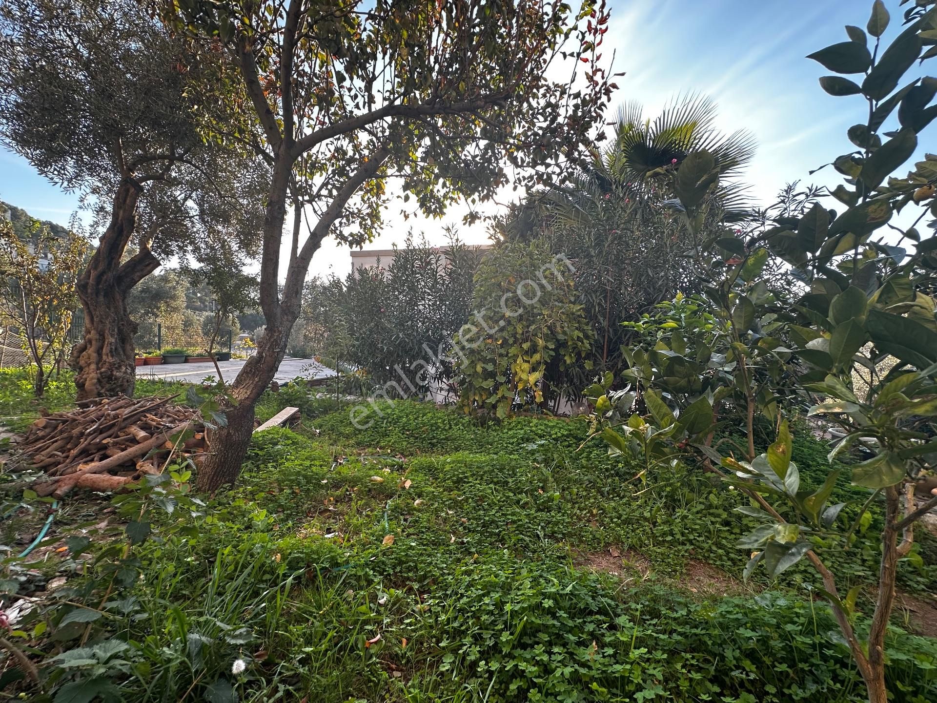 Bodrum Kumbahçede Kısmi Deniz Manzaralı Dubleks Daire - Görsel 34