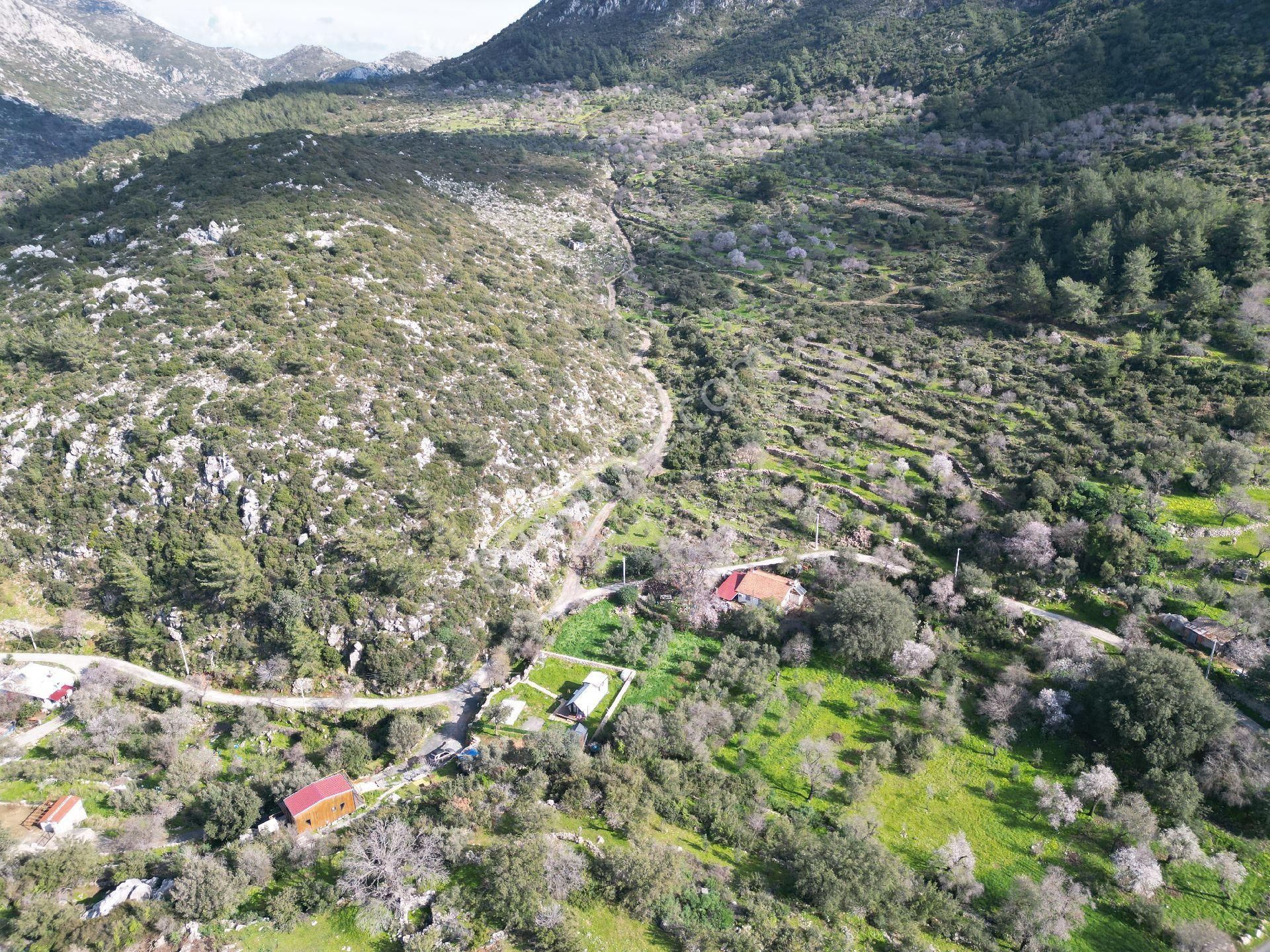 Joker: Marmaris Söğüt Merkezde Satılık Köy Evi - Görsel 7