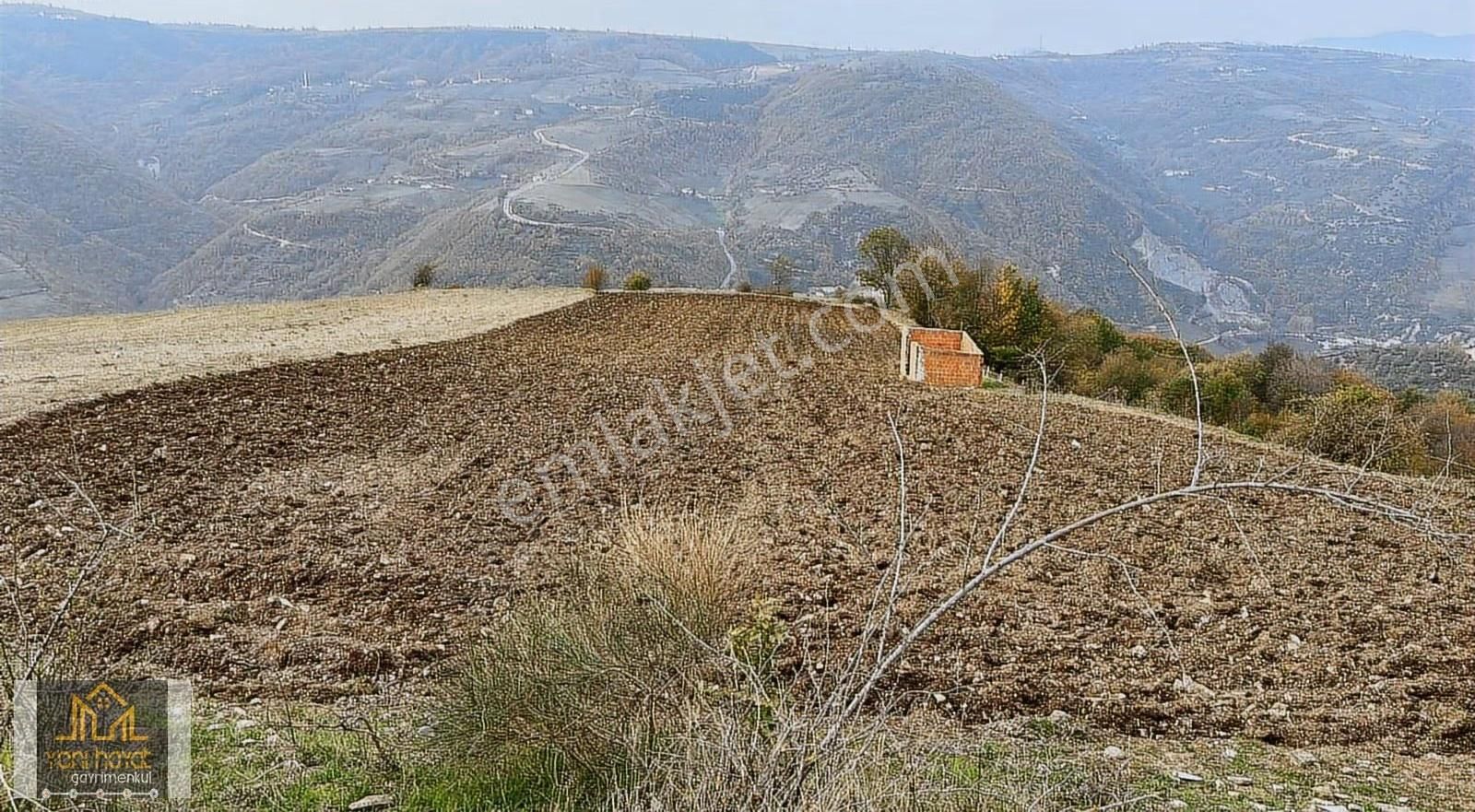 Samsuna 15 Dk Kızıloğlak Köyünde 3750 Tarla - Görsel 9
