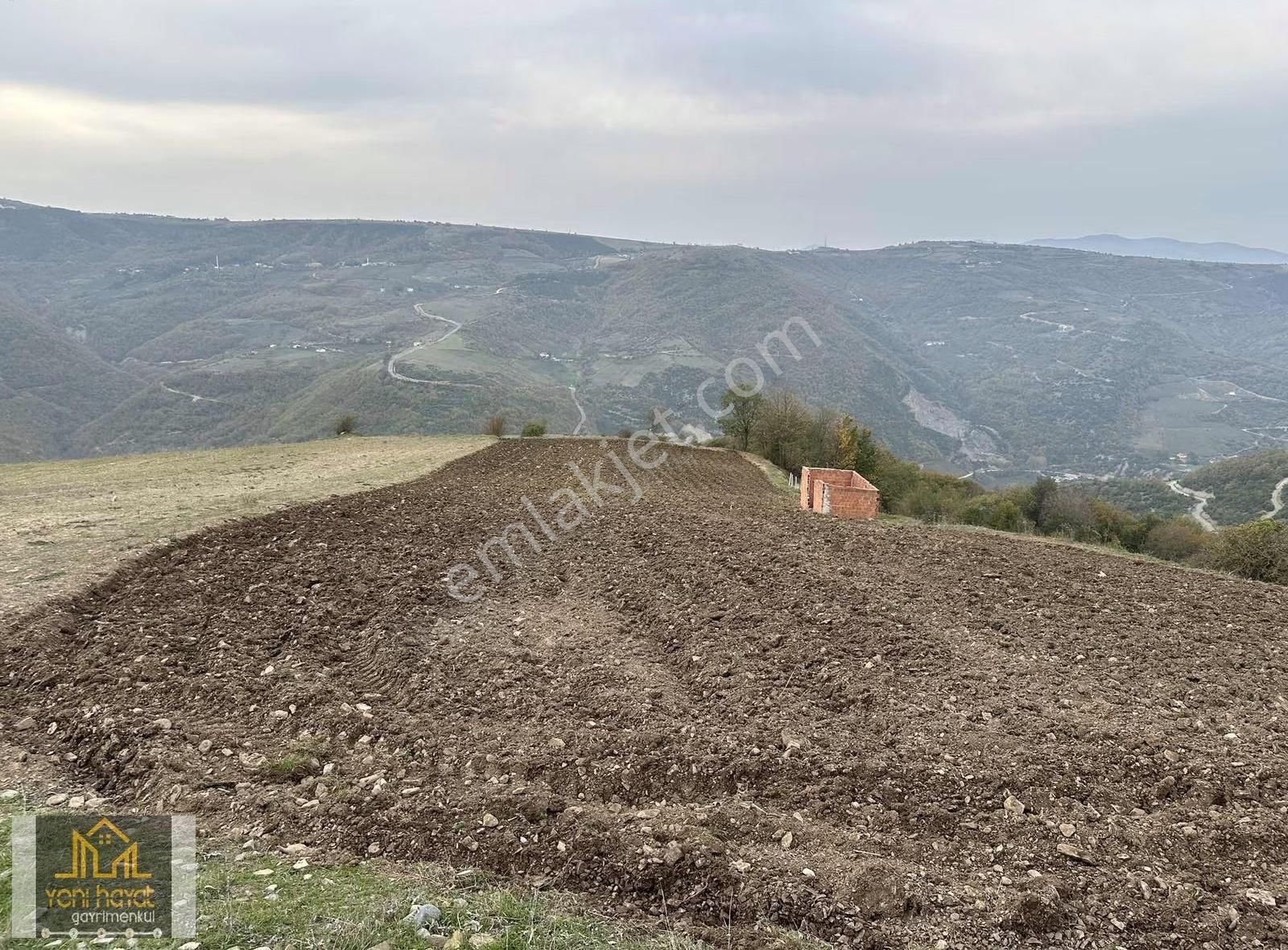 Samsuna 15 Dk Kızıloğlak Köyünde 3750 Tarla - Görsel 8