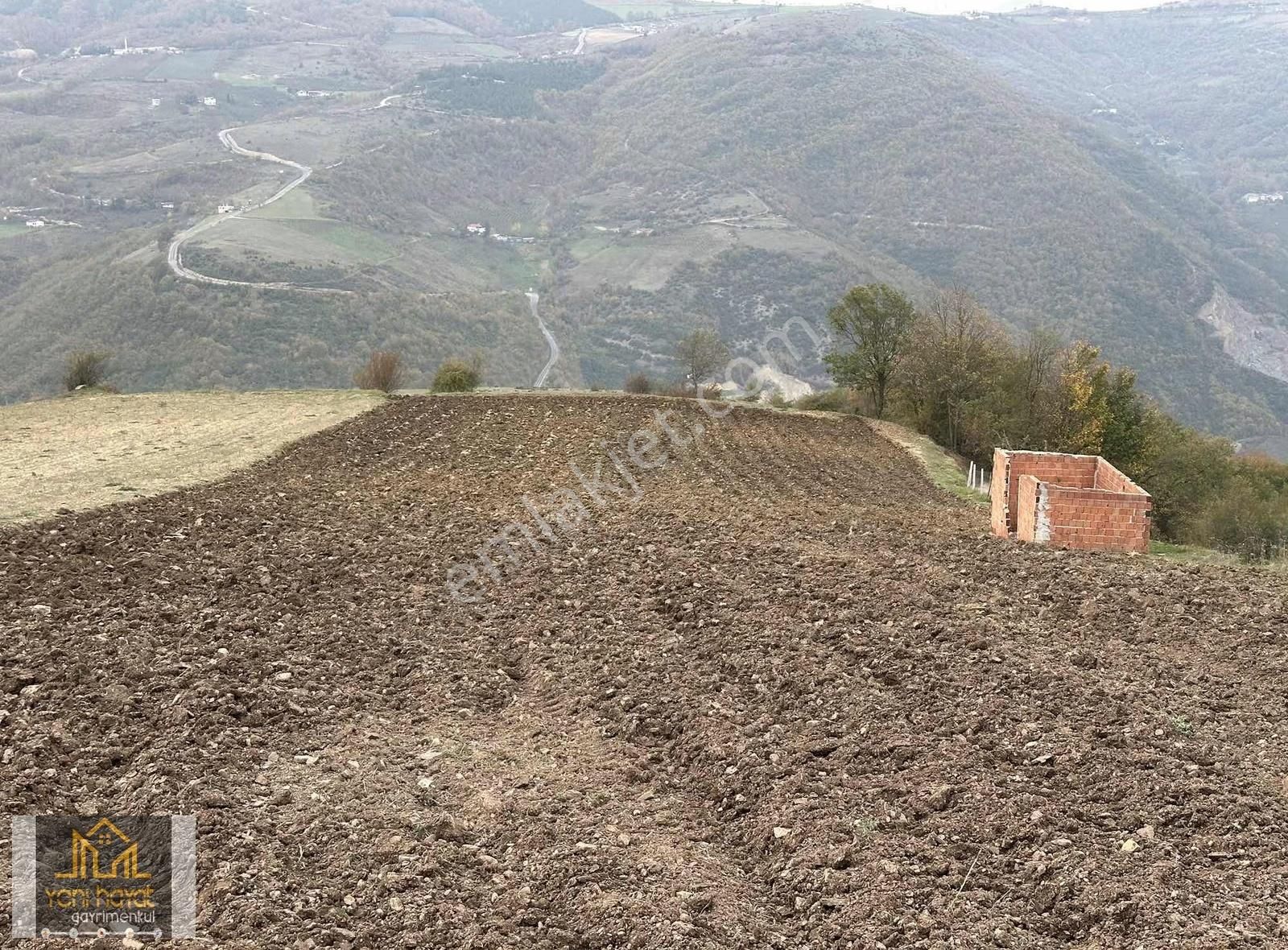 Samsuna 15 Dk Kızıloğlak Köyünde 3750 Tarla - Görsel 7